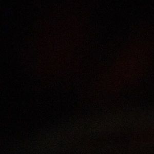 Meet your Posher, Lilith